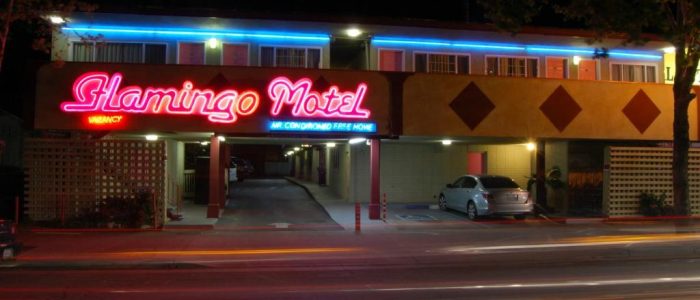 The Flamingo Motel: Icono Retro de Lujo en la Ruta 66 – Foto de Fachada y Piscina