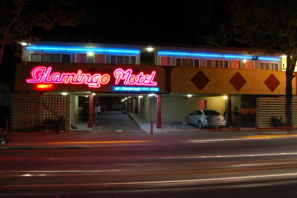 The Flamingo Motel: Icono Retro de Lujo en la Ruta 66 – Foto de Fachada y Piscina