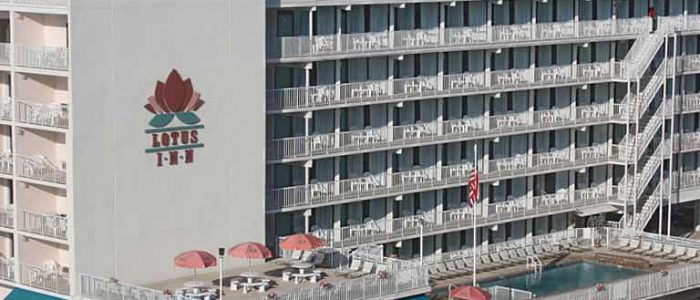 Lotus Inn: Hotel Boutique de Lujo en el Corazón de la Ciudad – Reserva tu Estancia